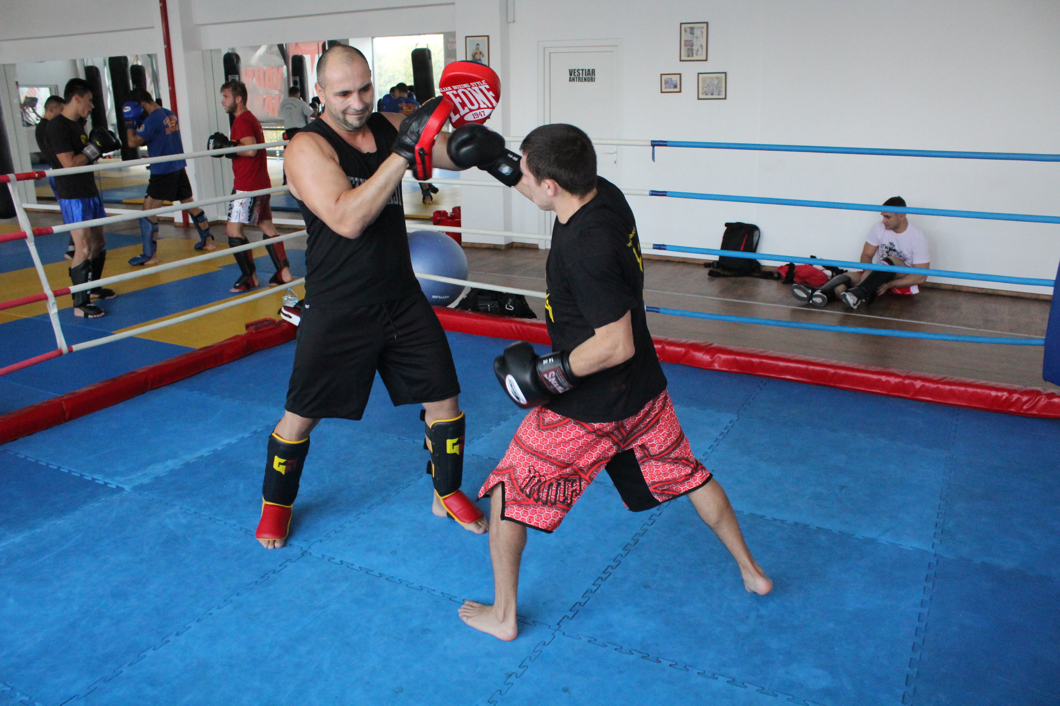 FOTO&VIDEO / Cristian Spetcu, elevul lui Ciprian Sora, este pregătit pentru gala Superkombat din Olanda