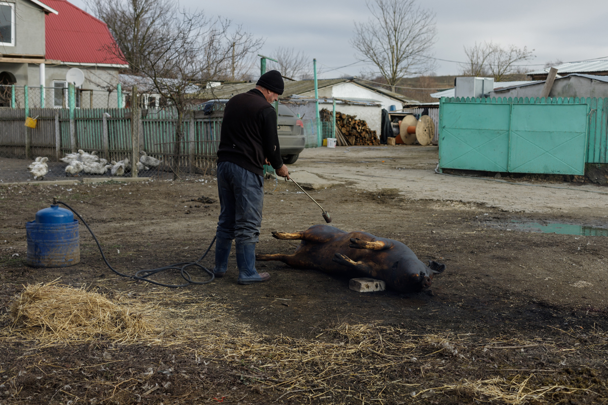 Românii au repopulat un cătun aproape părăsit de tătari. Acum, în satul Gherghina se taie porcul de Ignat și se ține Crăciunul