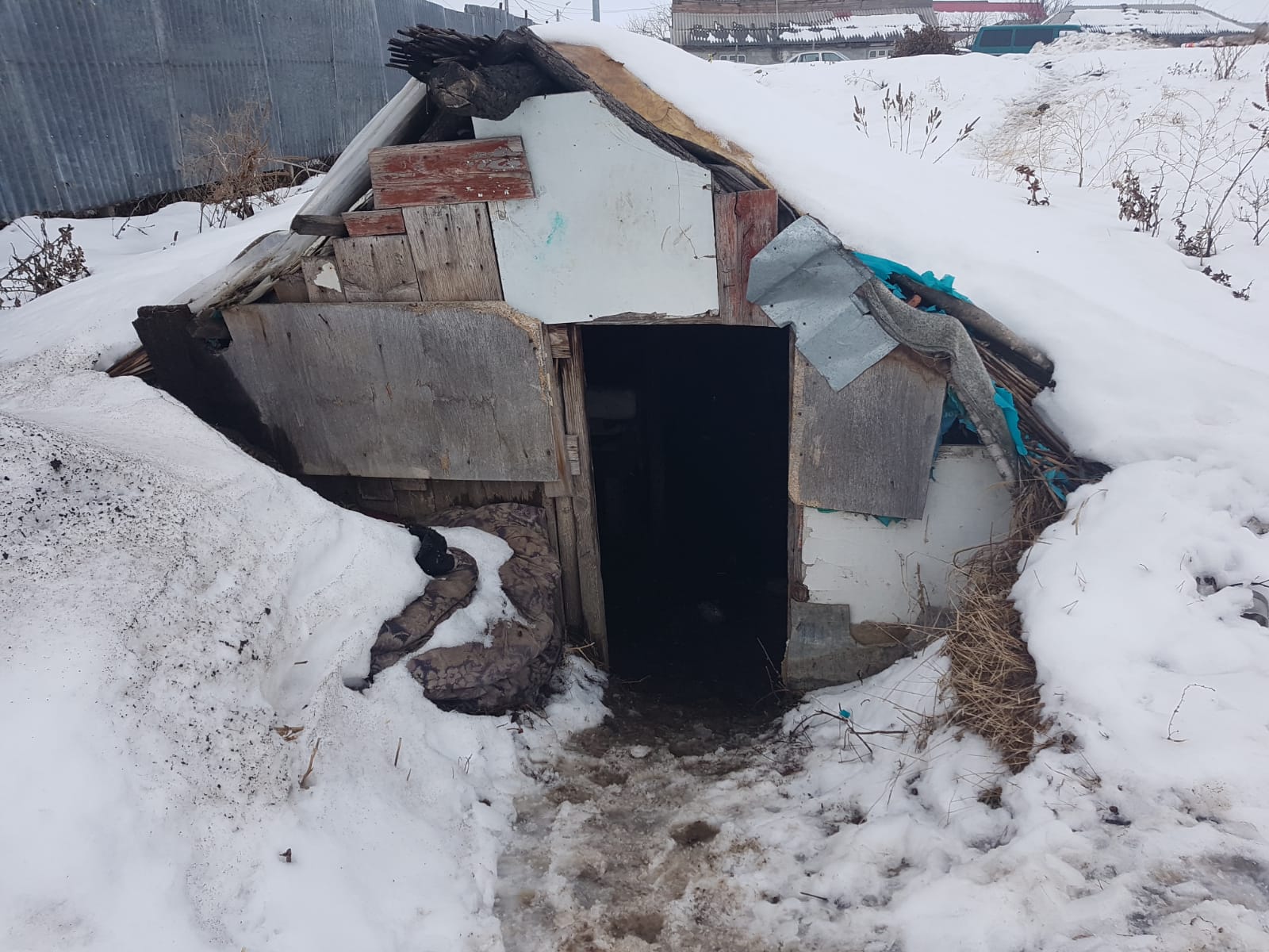 VIDEO&FOTO / Coliba unchiului Gabără. Un bărbat din Huși trăiește de 11 ani într-un bordei: "Doar preotul mă scoate de aici"
