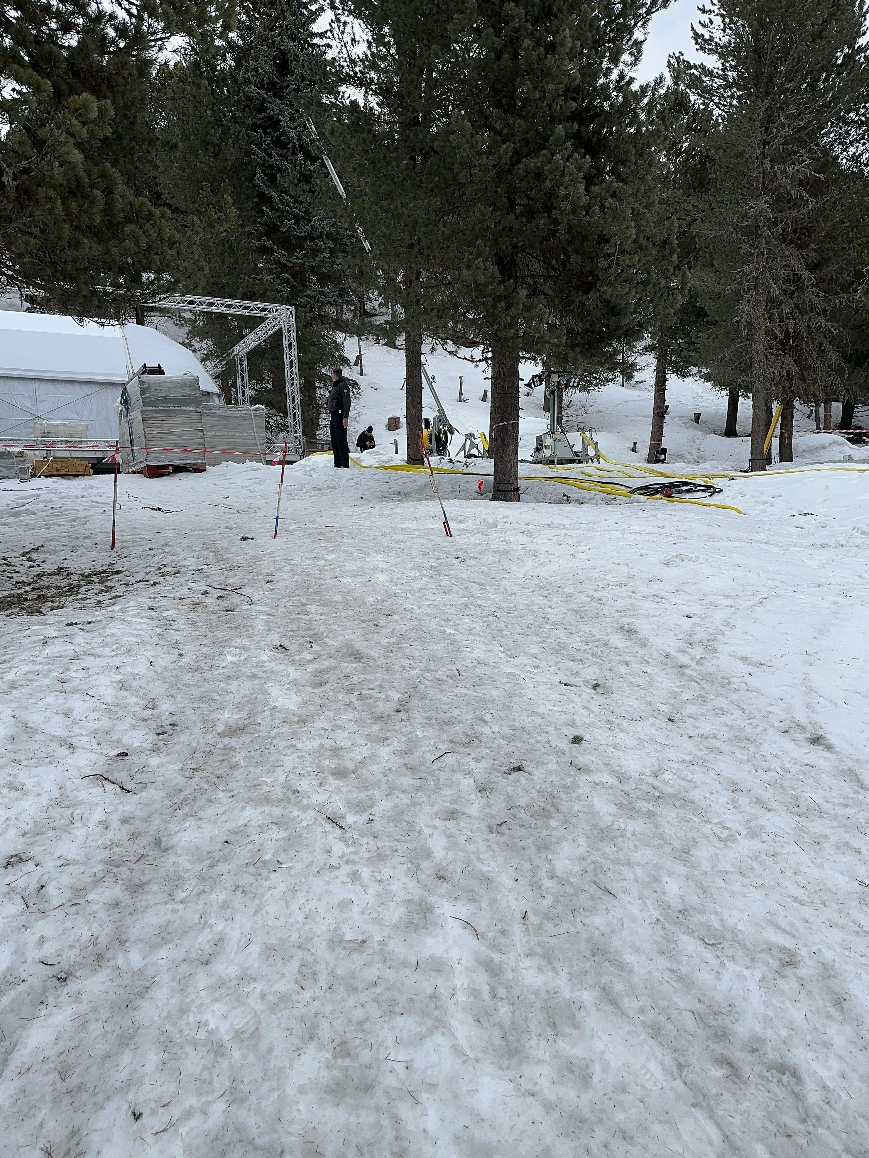 Prezentare de modă exclusivistă în mijlocul unei păduri, la St. Moritz. Organizațiile de mediu se tem că vor fi tăiați copacii. Cine este organizatorul