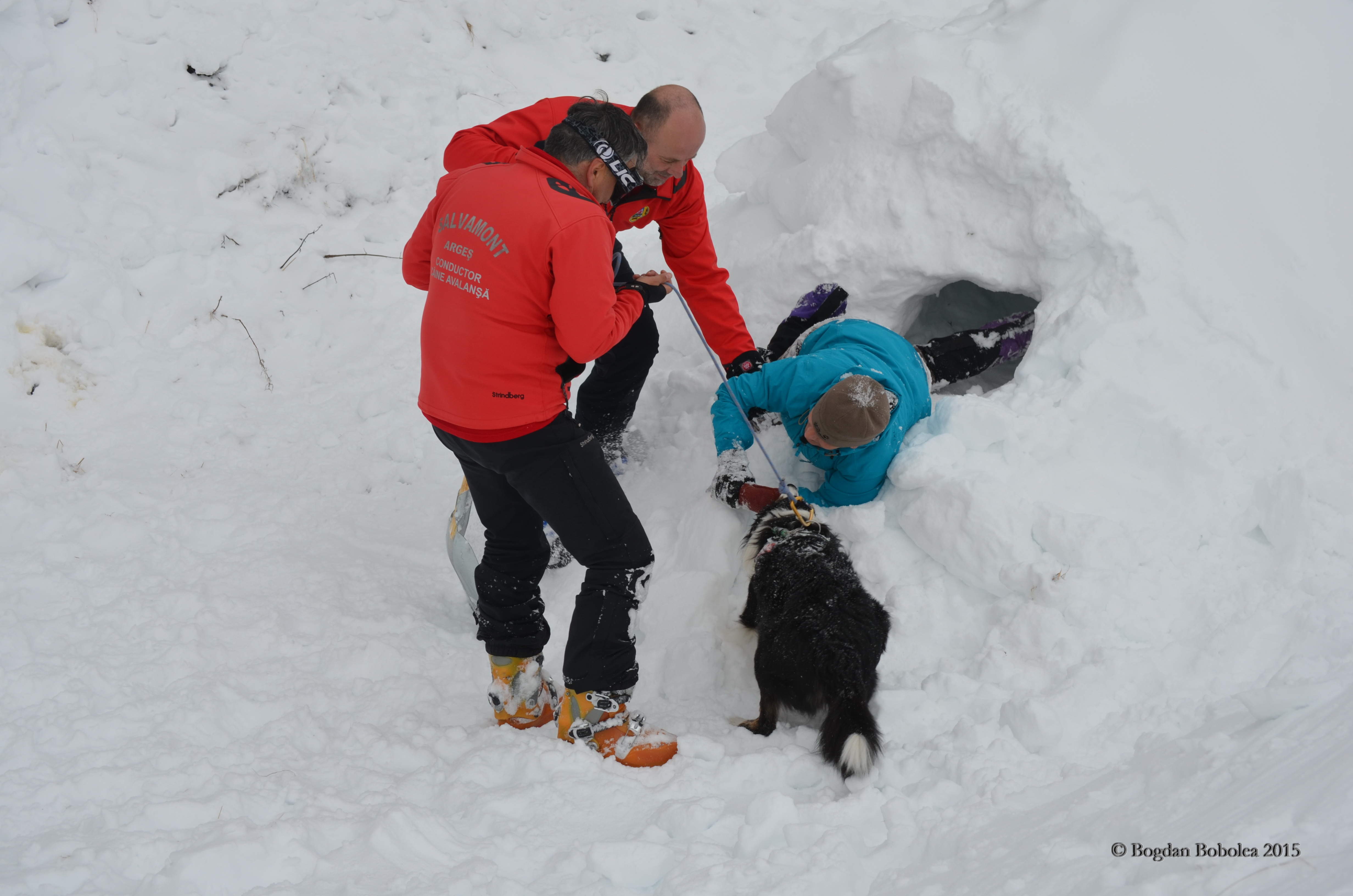 REPORTAJ/Povestea câinilor de avalanșă Helios și Dara sau încrederea de nezdruncinat dintre om şi animal: "Unde merg eu, merg şi ei"/ FOTO