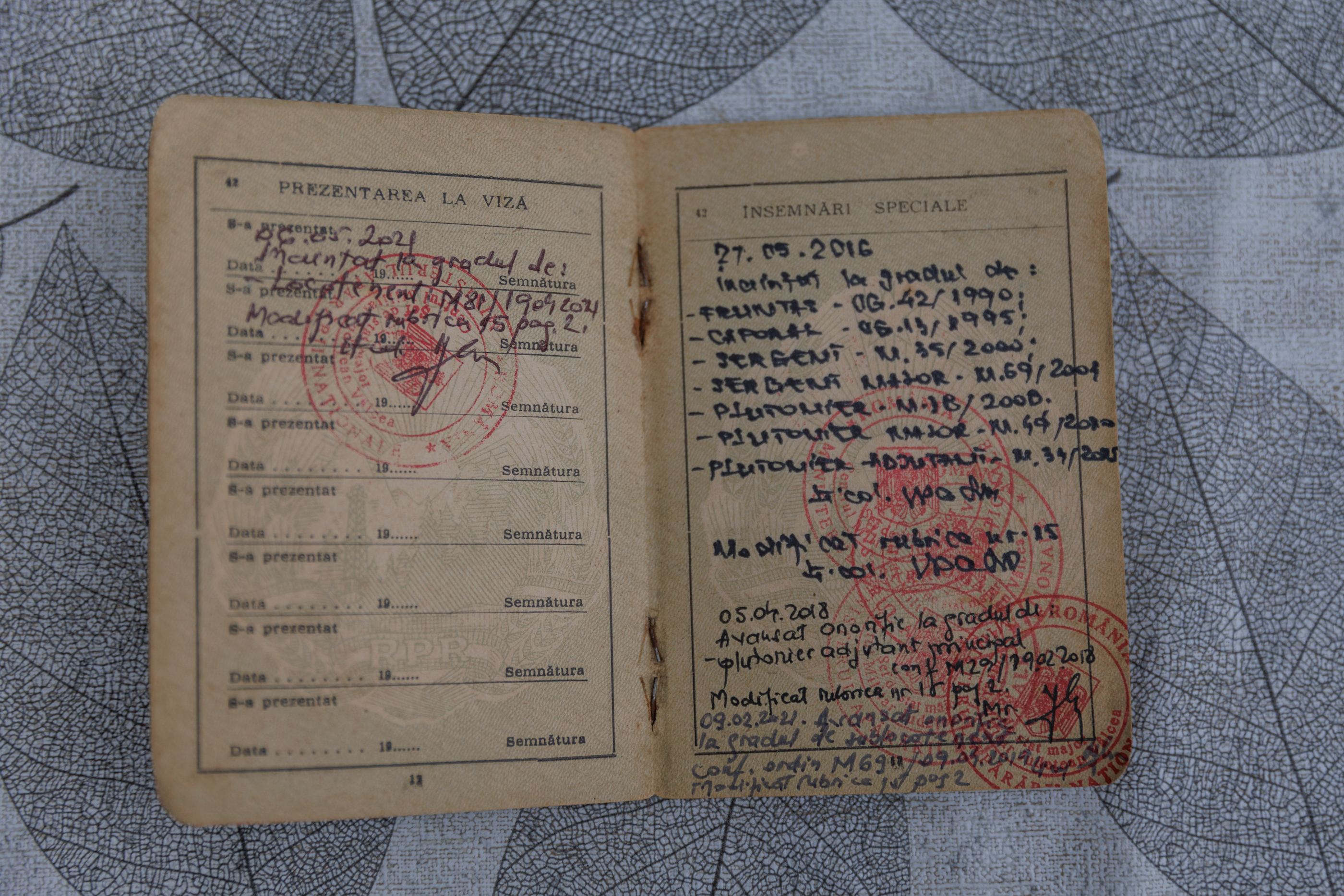 REPORTAJ Viața la 111 ani. Ilie Ciocan, cel mai în vârstă român, trăiește în Galicea, Vâlcea, și e îngrijit cu devotament de nepoții pe care nu i-a iubit: „I-am promis tatei că o să avem grijă de el!” 