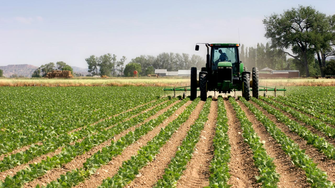 Morocco receives $116 million AfDB support for sustainable agriculture