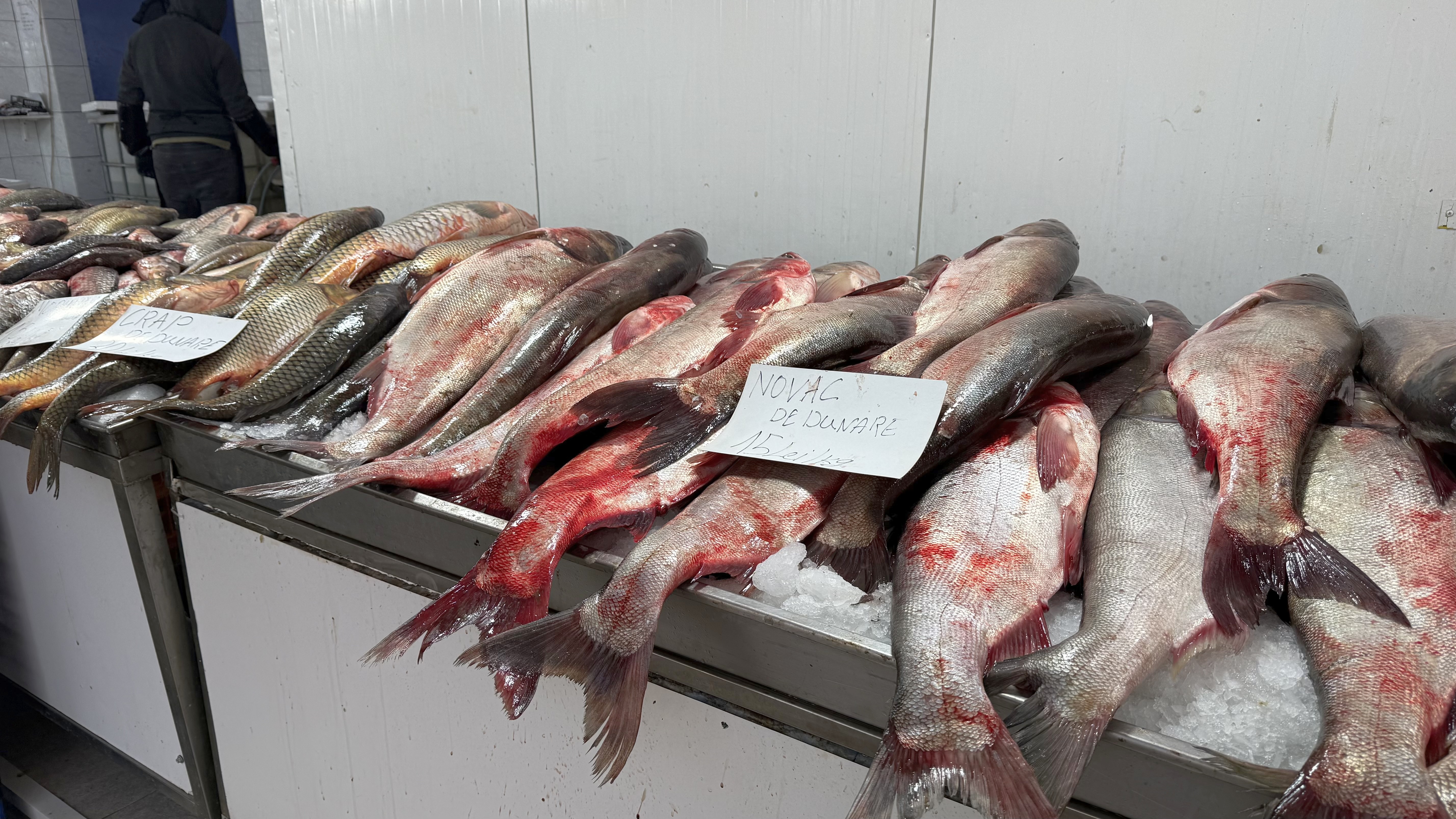 Alertă de prețuri în piețe pentru prima dezlegare la pește din Postul Paștelui. Delicatesa care a ajuns să coste 700 de lei kilogramul