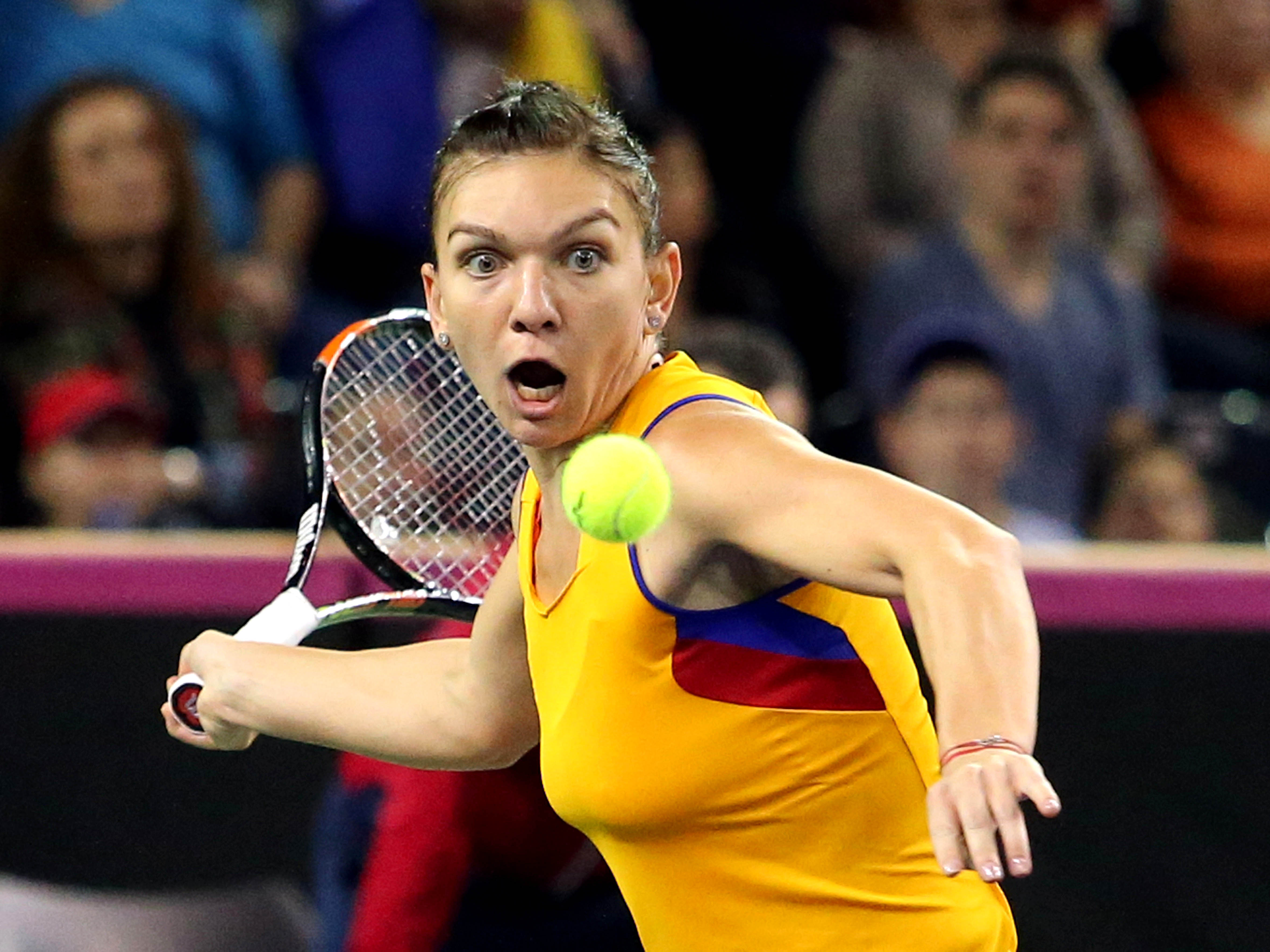 Fed Cup: România - Cehia 2-3, în ”sferturile” Grupei Mondiale. Ar fi fost prea frumos, am terminat în lacrimi! Am pierdut la dublu calificarea în semifinale, având o pereche deloc sudată, Mitu-Olaru. Halep o doborâse pe Kvitova, dublă câștigătoare la Wimbledon, iar Niculescu cedase la Pliskova. Pe 9 februarie, ne aflăm adversarele din baraj