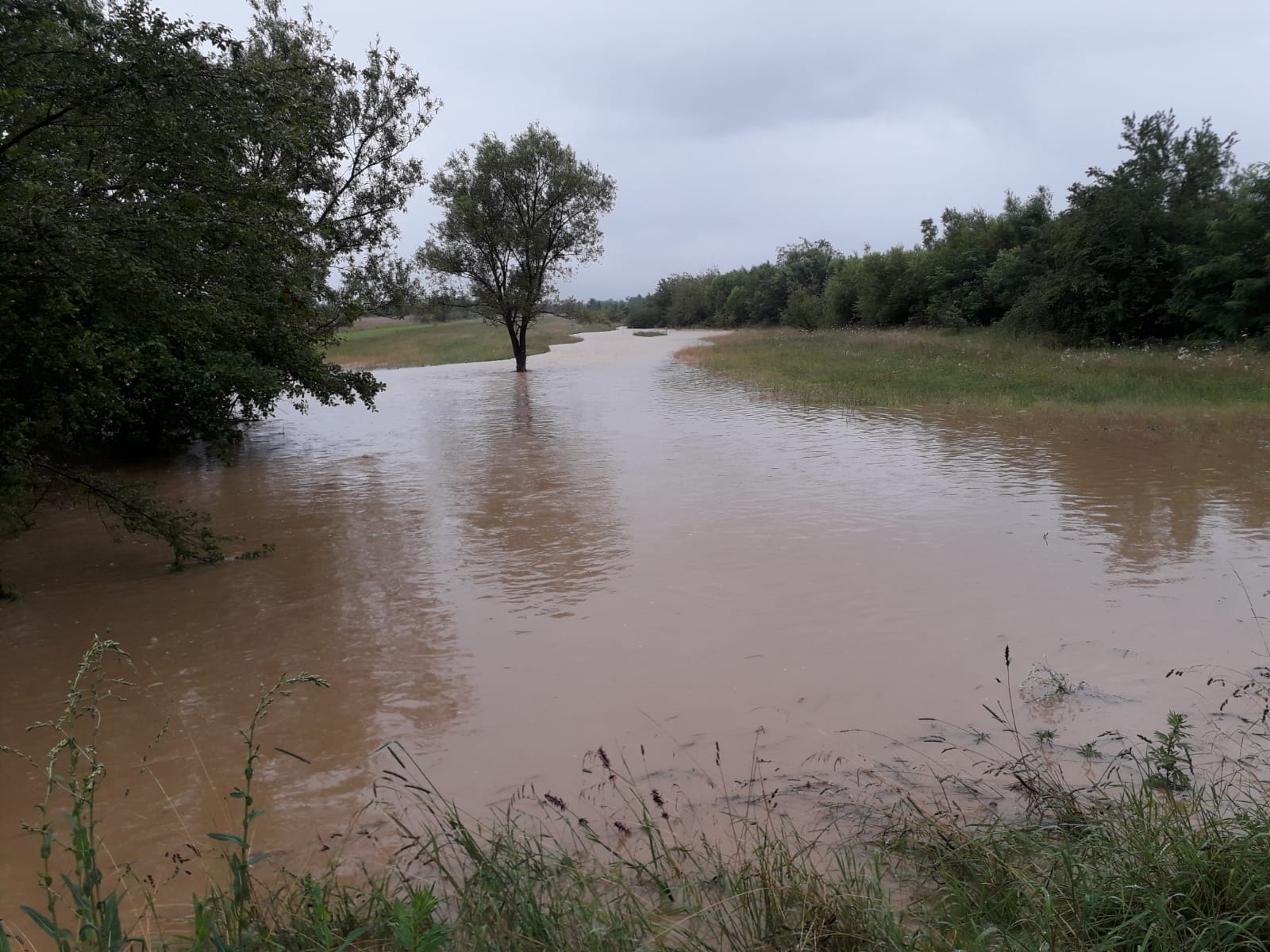 Mai multe gospodării din zona Făgărașului au fost inundate. Doi bolnavi au fost evacuați din case de către pompieri/ VIDEO&FOTO