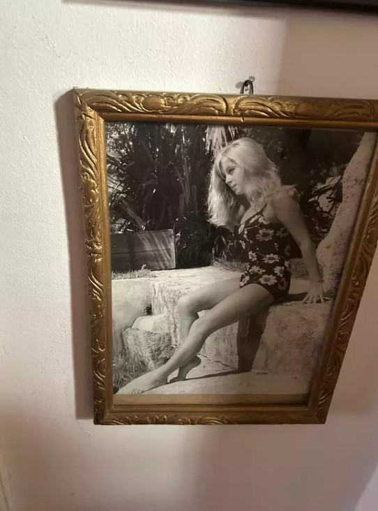 Imagini exclusive din casa în care locuiește Anna Szeles, fosta soție a lui Florin Piersic. Apartamentul din Budapesta este plin de fotografii și amintiri