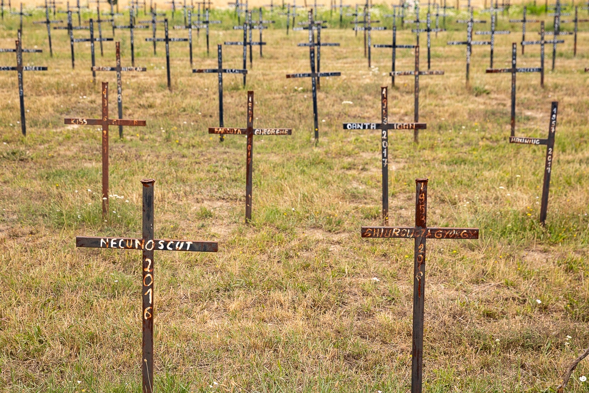 Cimitirul cu necunoscuți din Dumbrava. Viorel Pașca: „Toată lumea, indiferent de religie, are cruce la fel. Ca să nu se supere niciunul”