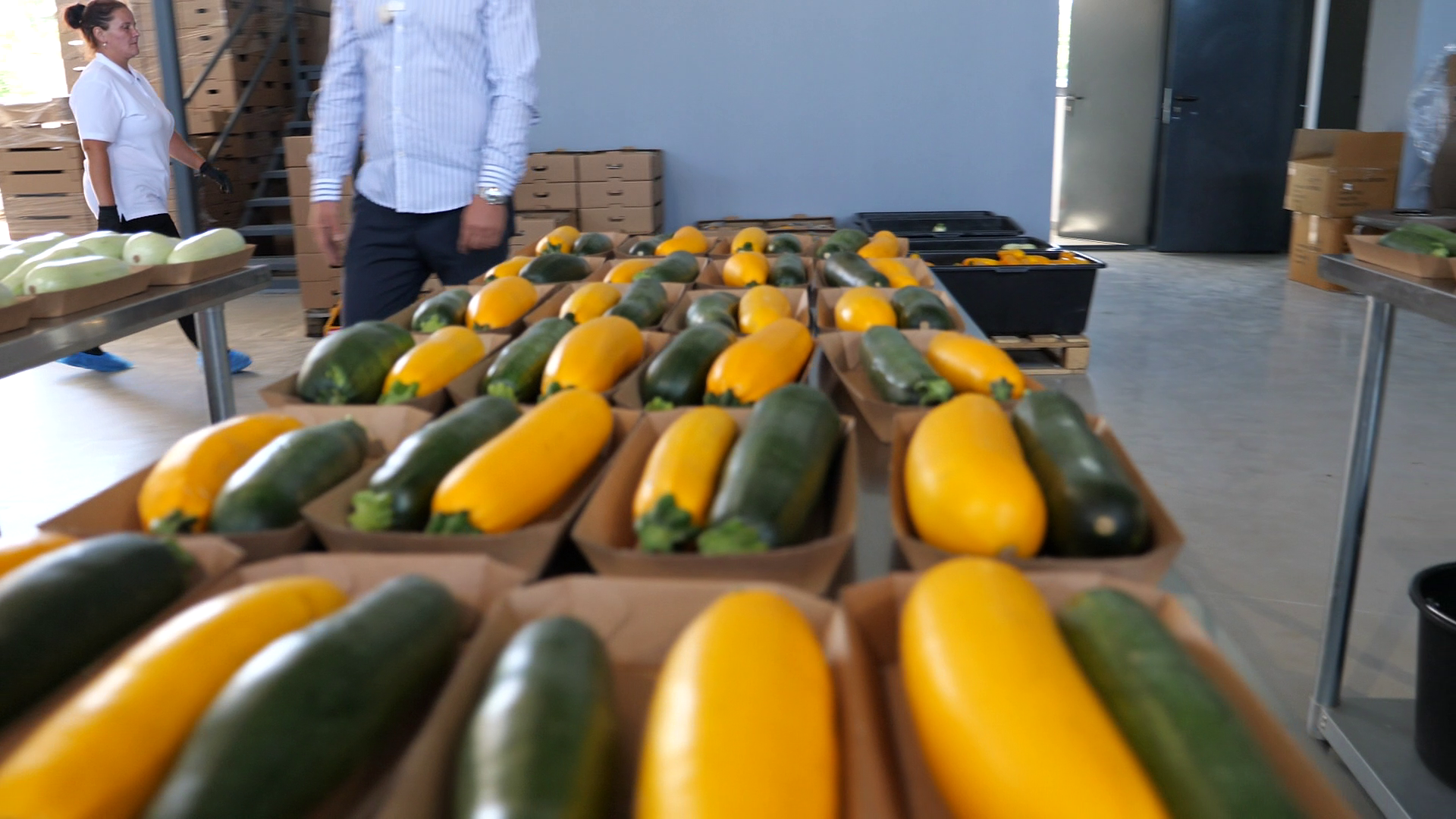 Ciprian Tătărușanu s-a apucat de agricultură și cultivă ardei iuți, dovlecei și vinete pe o suprafață de 10 hectare, în județul Dâmbovița