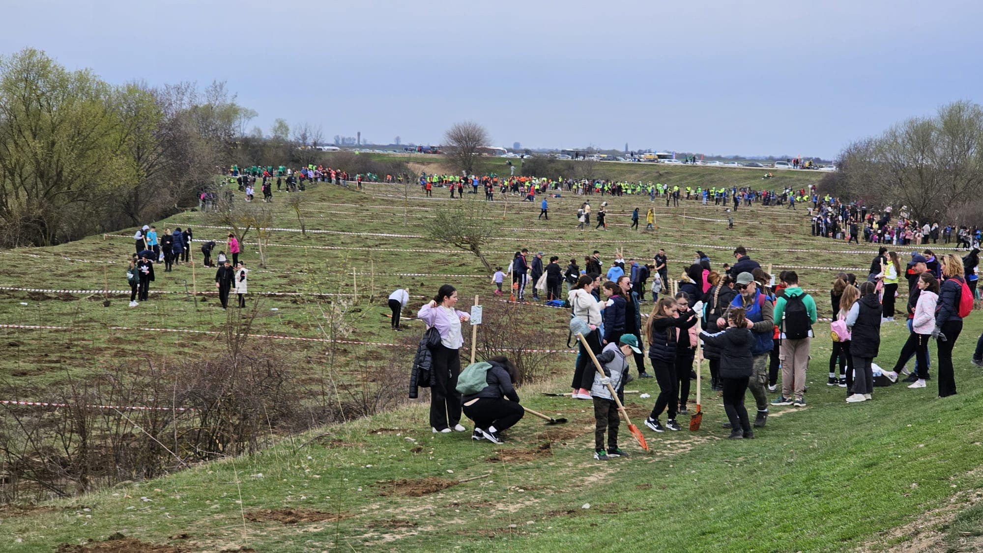 Acțiune ecologică de amploare în Oradea. Peste 5.000 de voluntari au transformat malul Crișului Repede într-o pădure vie