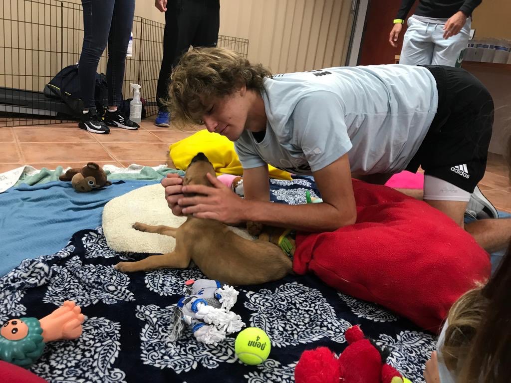 Alexander Zverev jr. a adoptat un cățel la Miami | GALERIE FOTO&VIDEO