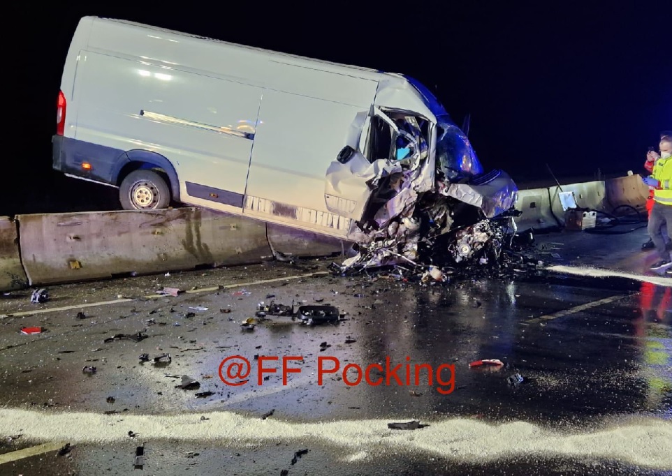 Șoarecii și peștii de acvariu au scăpat cu viață din duba care s-a făcut praf de camionul unui român, în Germania