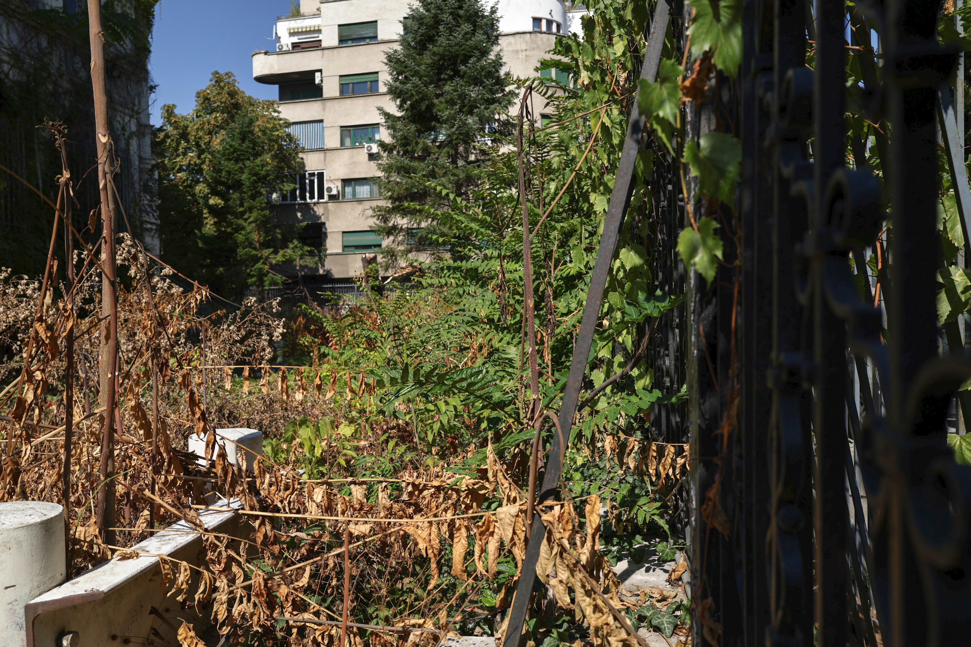 Palatul Maurice Blank