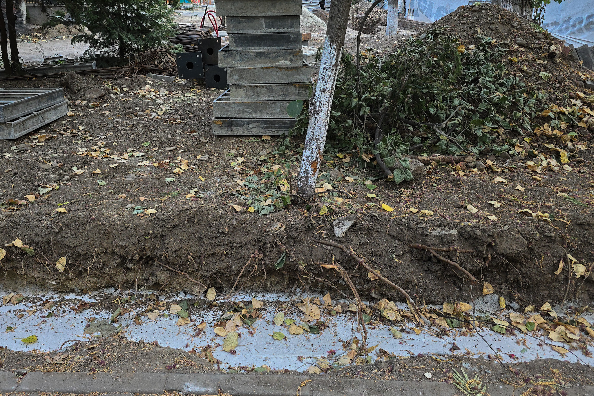 Au băgat excavatorul ca să facă șanțuri pentru gardul unei școli din București și au rupt rădăcinile a zeci de copaci