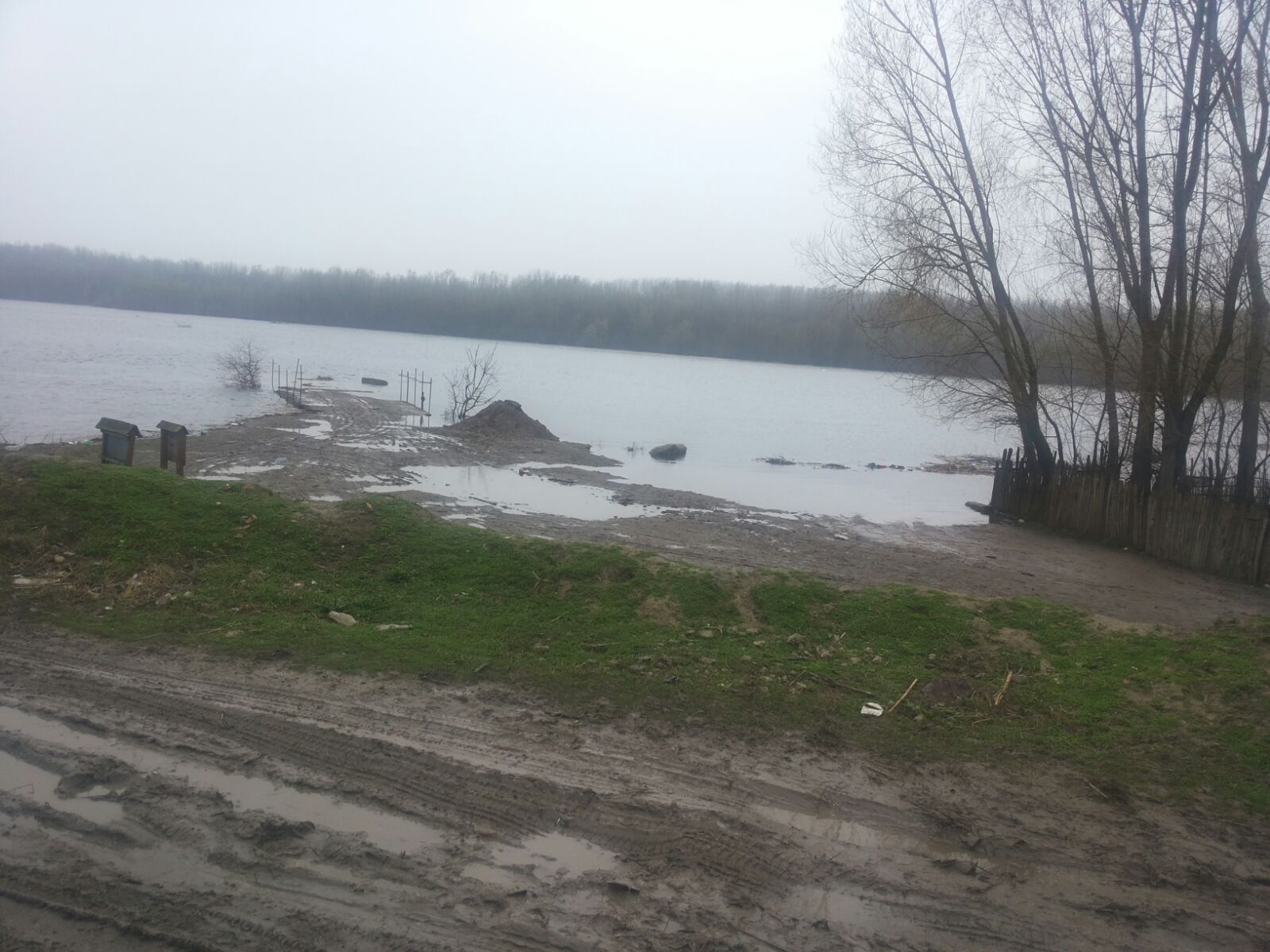 Dunărea, sub cod portocaliu în judeţul Olt! Sute de hectare de păşune şi pădure sunt inundate! GALERIE FOTO