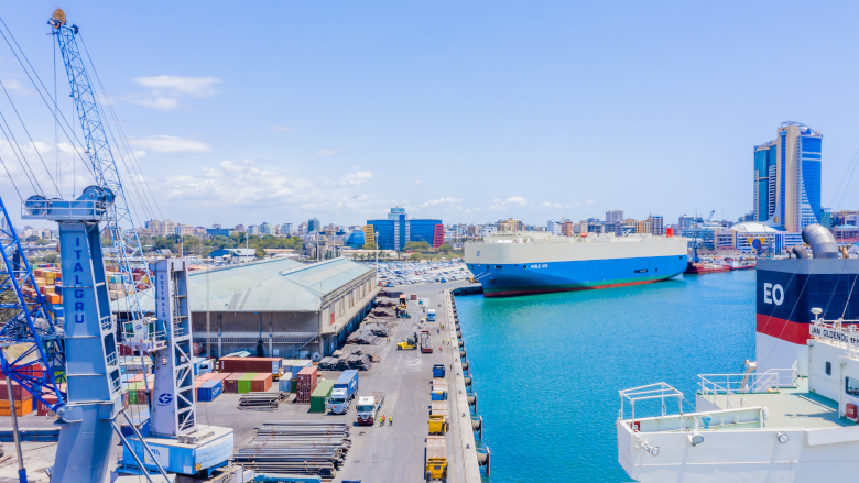 Russian logistics conglomerate touts expanding operations in Tanzania
