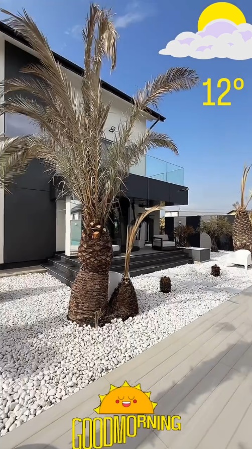 Imagini din curtea casei lui Dorian Popa, decorată cu pietre albe și palmieri. Nu are nici gazon, nici flori: „Am dat drumul la piscinică”