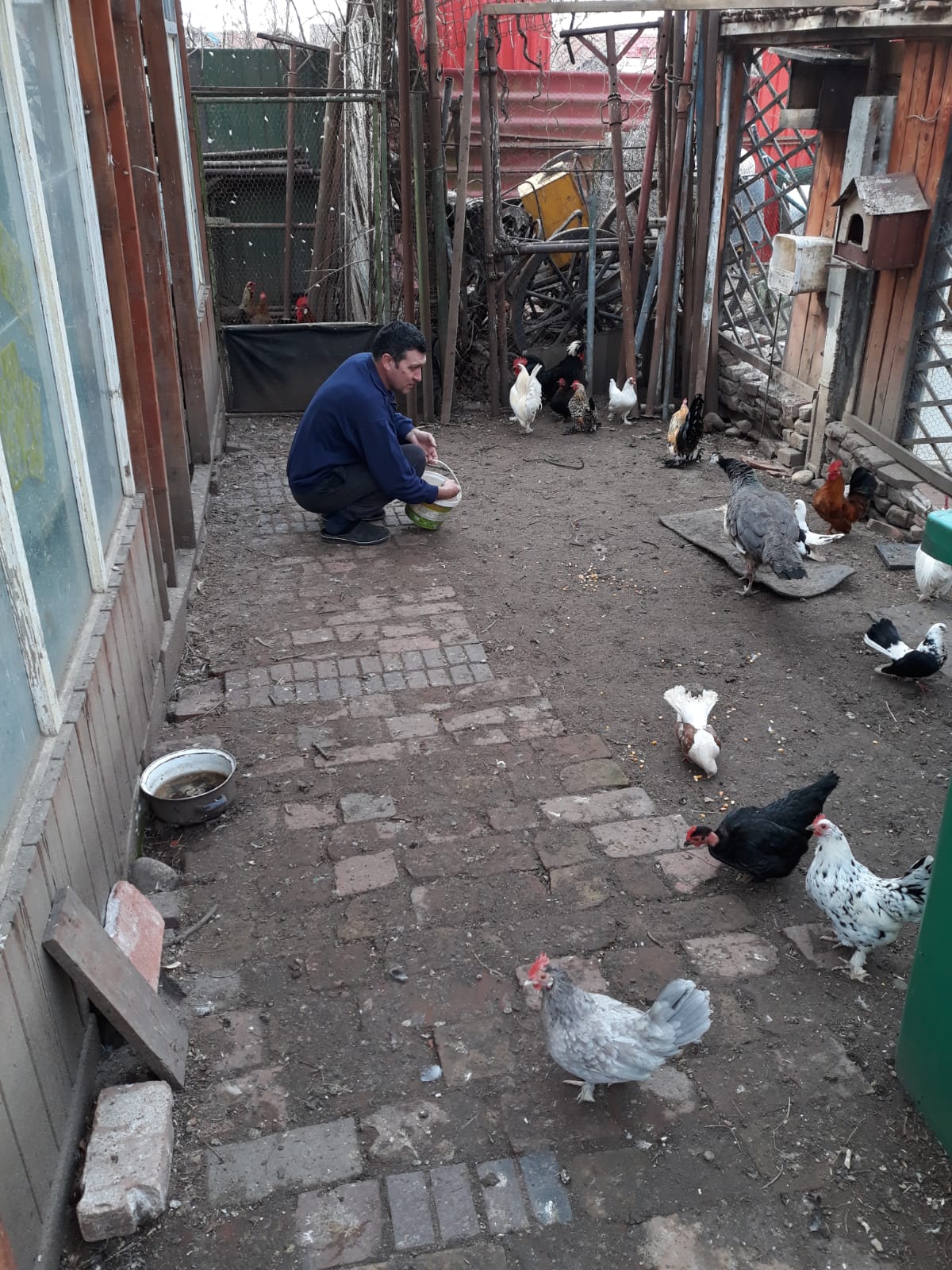 Trei frați pompieri și grădina lor zoologică! Au transformat curtea casei părintești într-un adăpost pentru animale