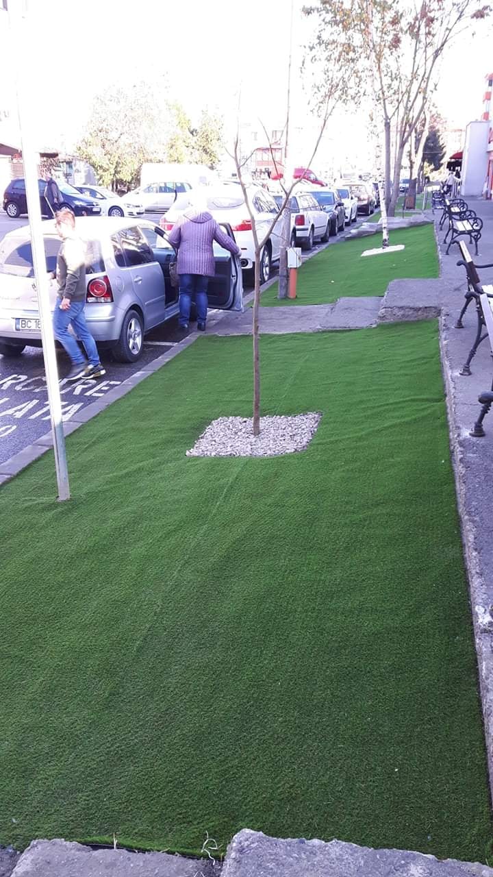 Primăria din Bacău a decorat străzile cu gazon... de plastic. Găselnița a revoltat locuitorii orașului