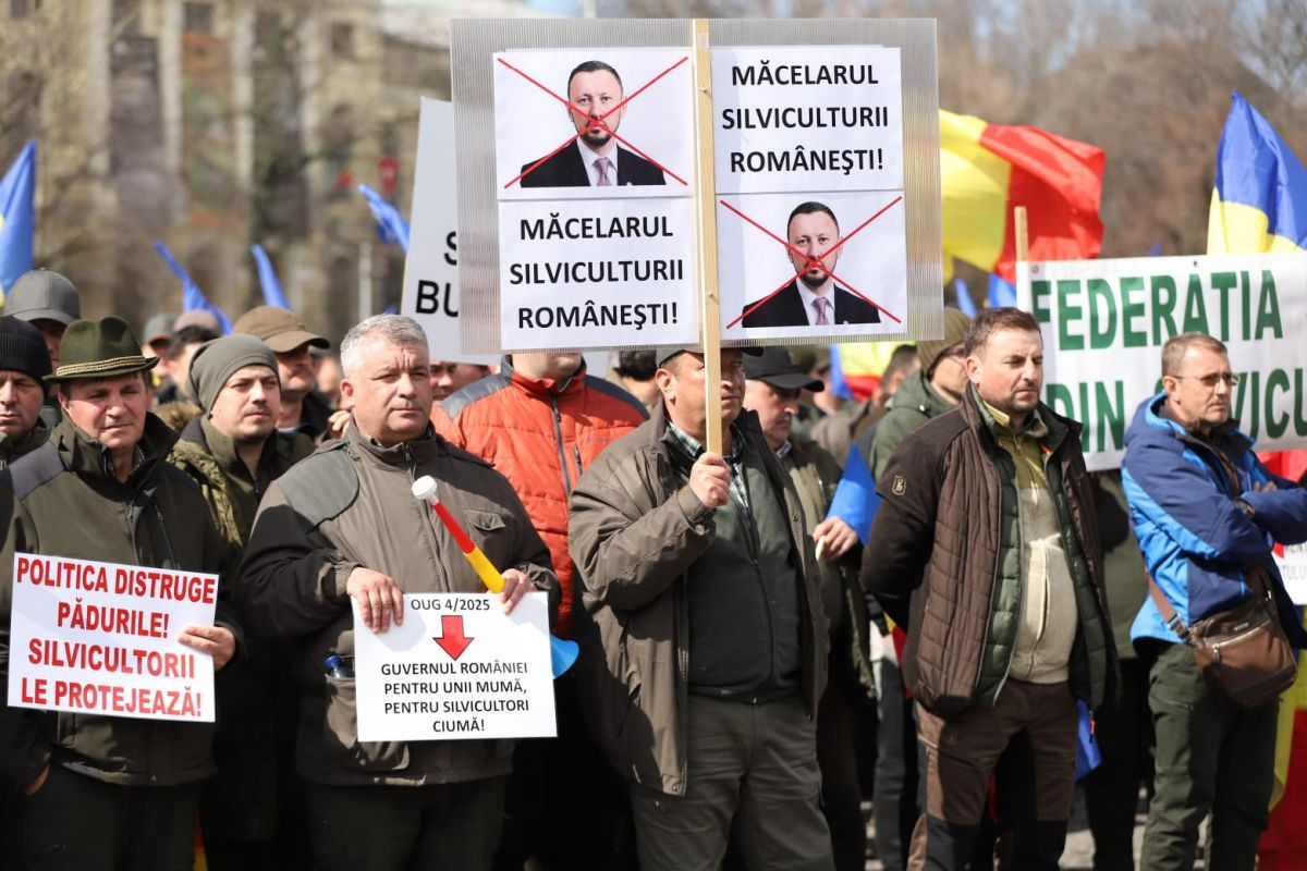Silvicultorii protestează la București față de tăierea salariilor și amenință cu greva generală