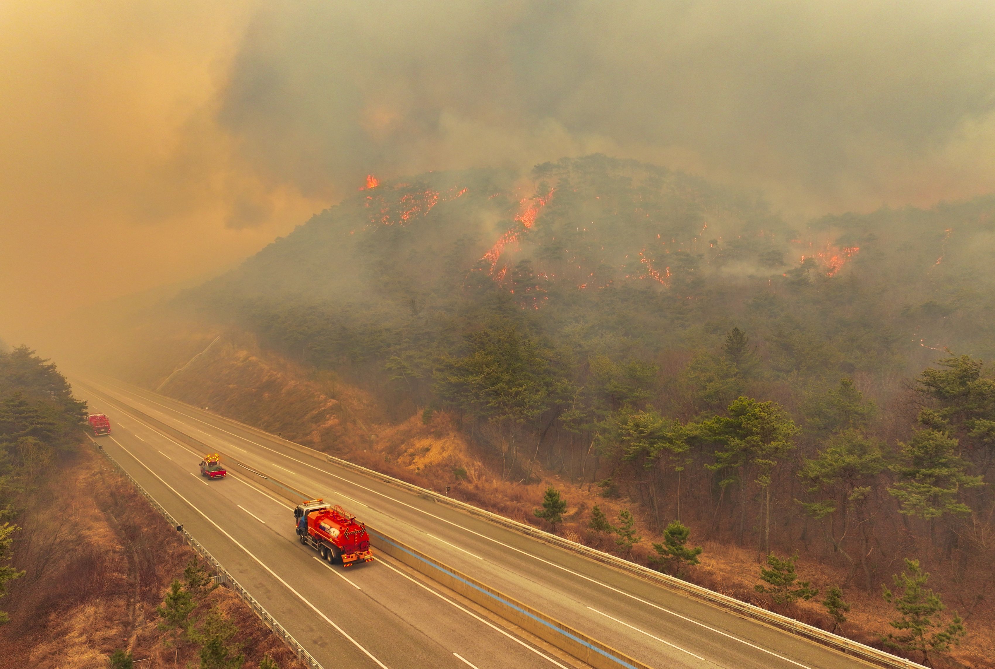 Incendii puternice de vegetație în Coreea de Sud. Cel puțin 18 oameni au murit și 19 au fost răniți