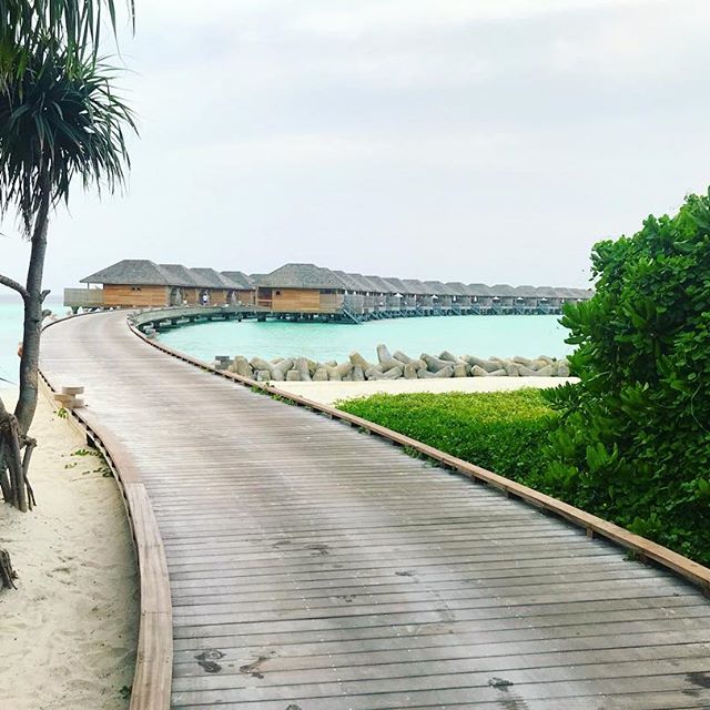 Alexandru Maxim, vacanță de vis în Maldive, împreună cu iubita | GALERIE FOTO&VIDEO