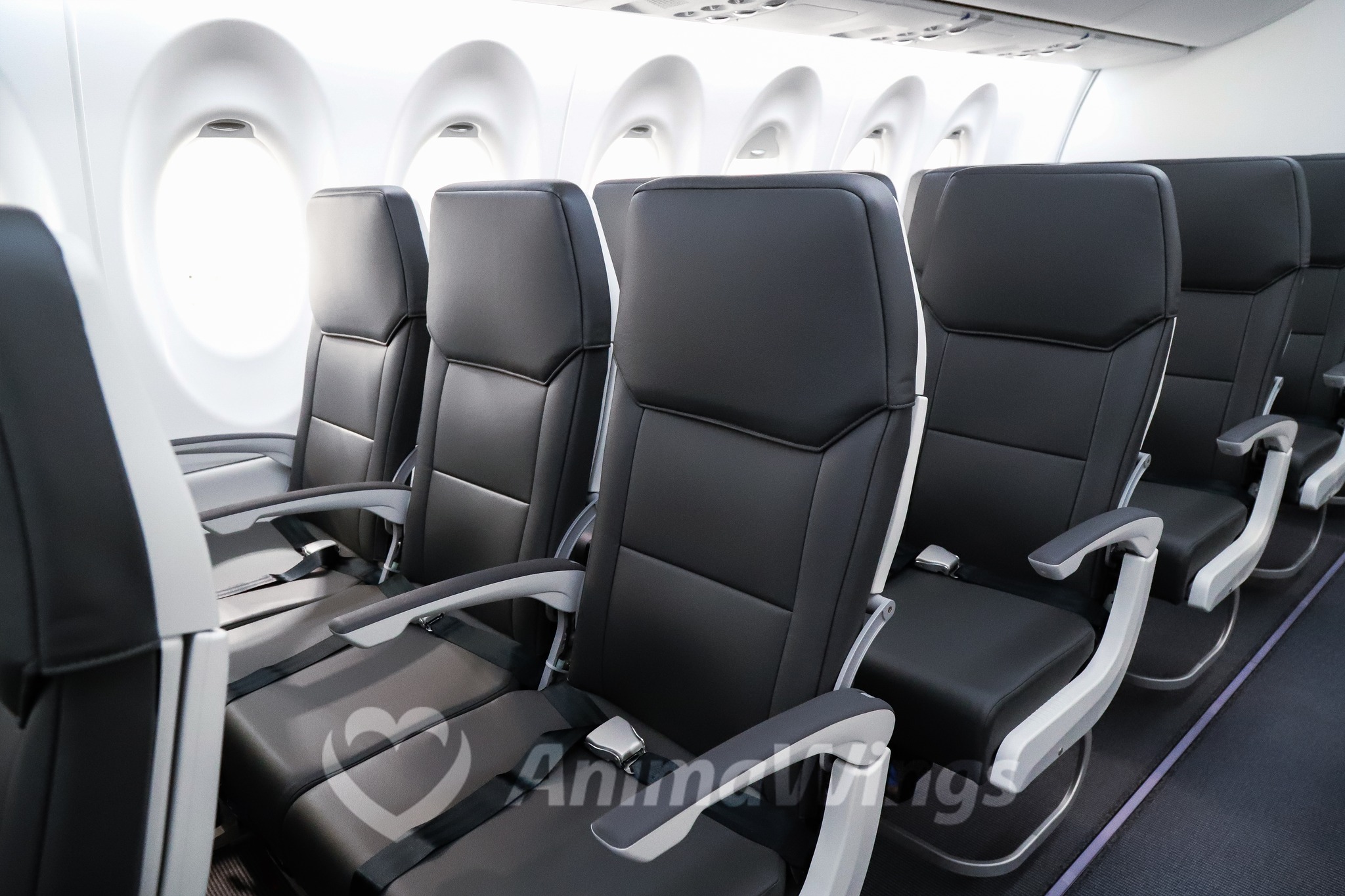 Prima aeronavă Airbus A220-300 din flota AnimaWings, singura de acest tip din România, a aterizat la București
