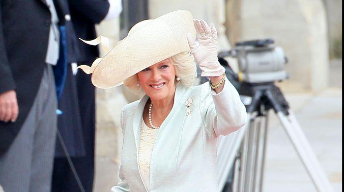 FOTO | Replica de neuitat a Prințesei Diana pentru Camilla Parker