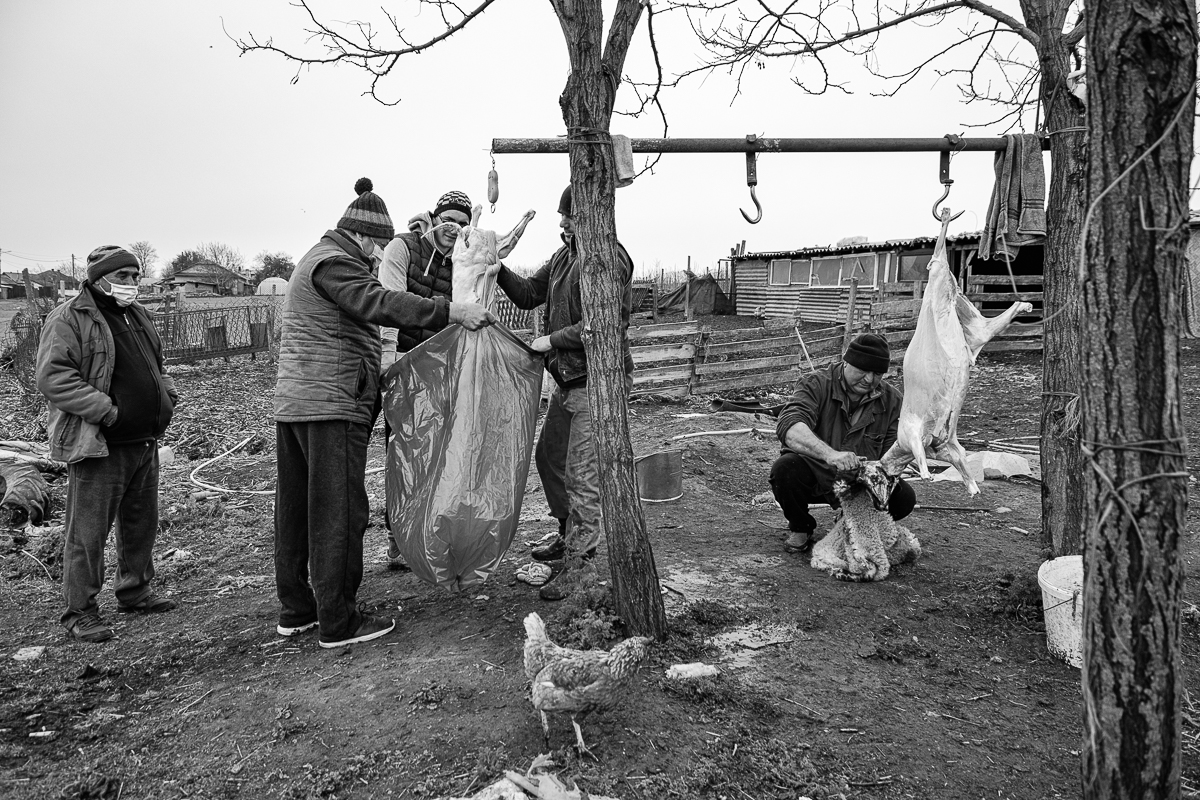 Povestea oierului care și-a chemat fiii din Anglia să-l ajute pentru mieii de Paște: ”O să tăiem și oile ca să nu moară de foame”
