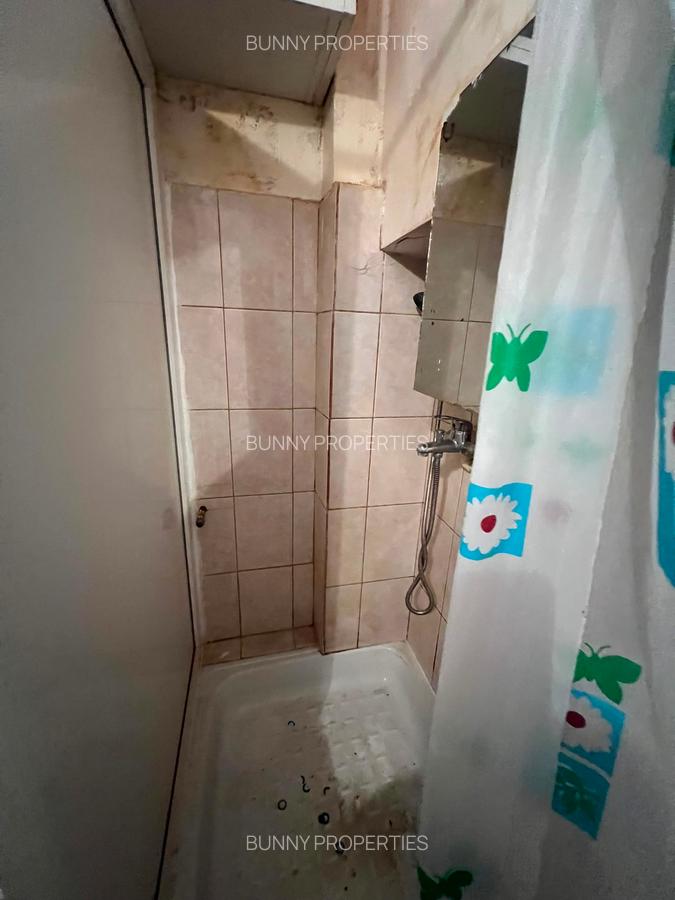 Culmea eficienței: din pat sari direct în duș. Cât costă cea mai mică garsonieră din România?