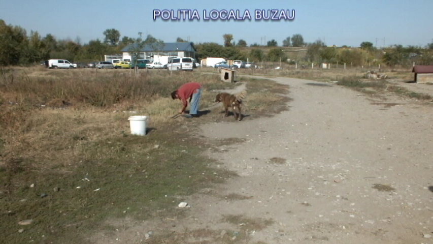 Încă o fermă ilegală de păsări și animale a fost descoperită la Buzău de polițiștii locali| GALERIE FOTO