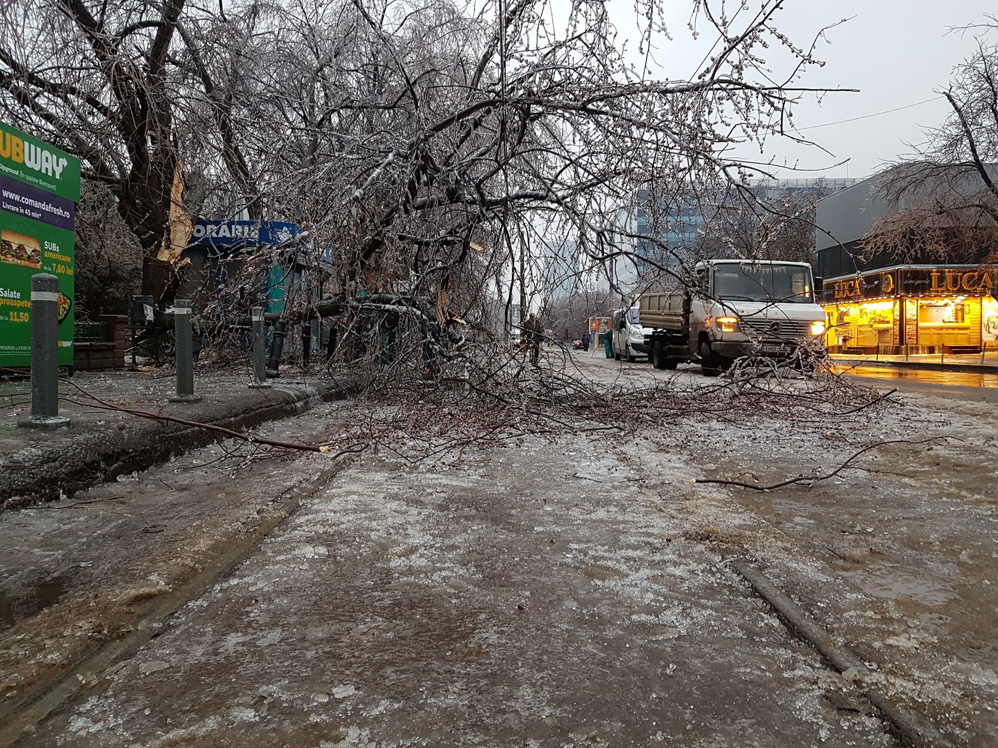 FOTO | Vremea face ravagii: Zeci de copaci doborâţi de vânt și gheață în Bucureşti și 49 de maşini avariate, în ultimele ore. Circulaţia pe anumite linii a tramvaielor şi a troleibuzelor, blocată