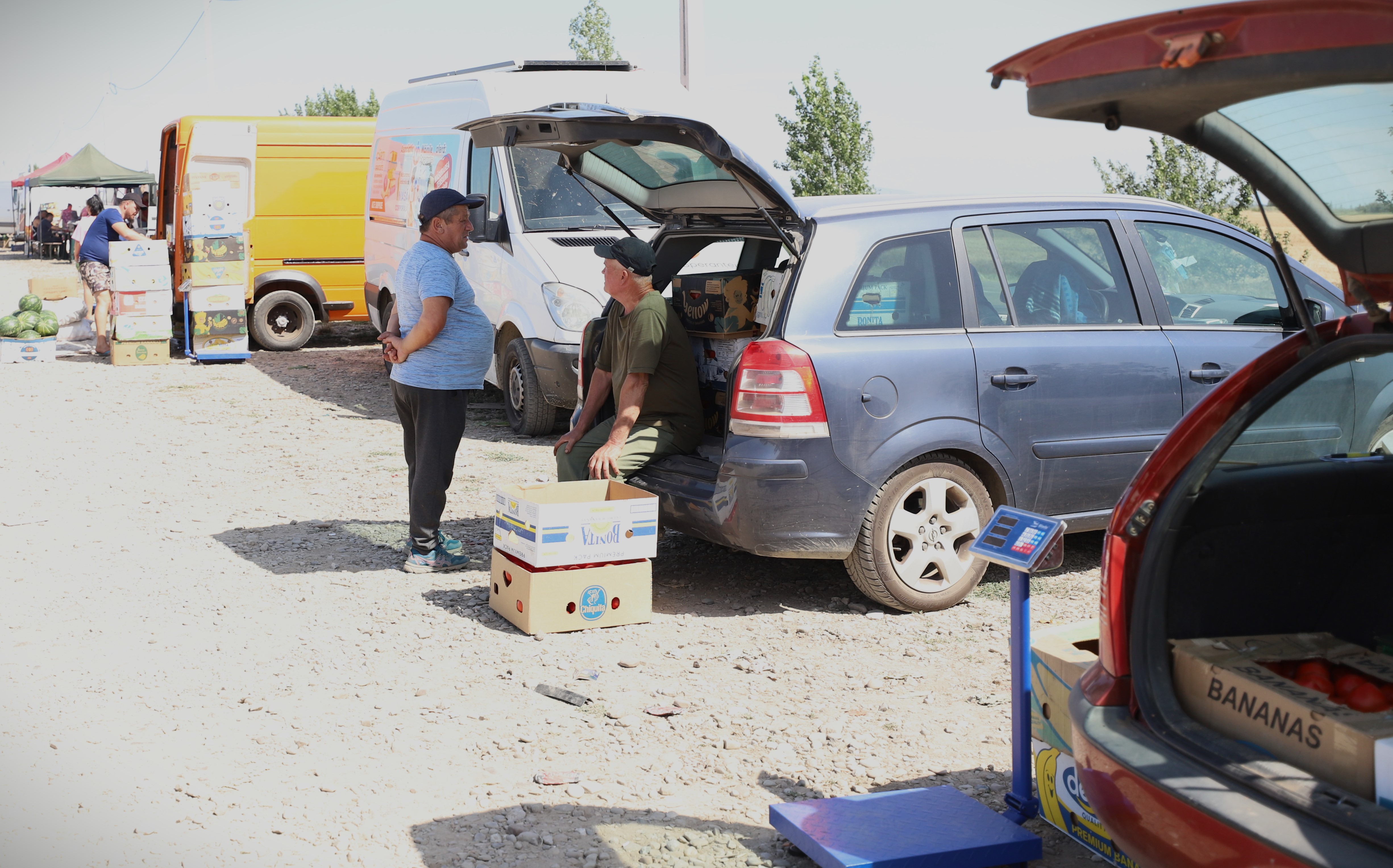 REPORTAJ. Furie în piața de legume din Glodeanu Sărat, Buzău. Lăsați la mâna samsarilor, producătorii locali își anunță abandonul: „Să pună Guvernul roșii!” 
