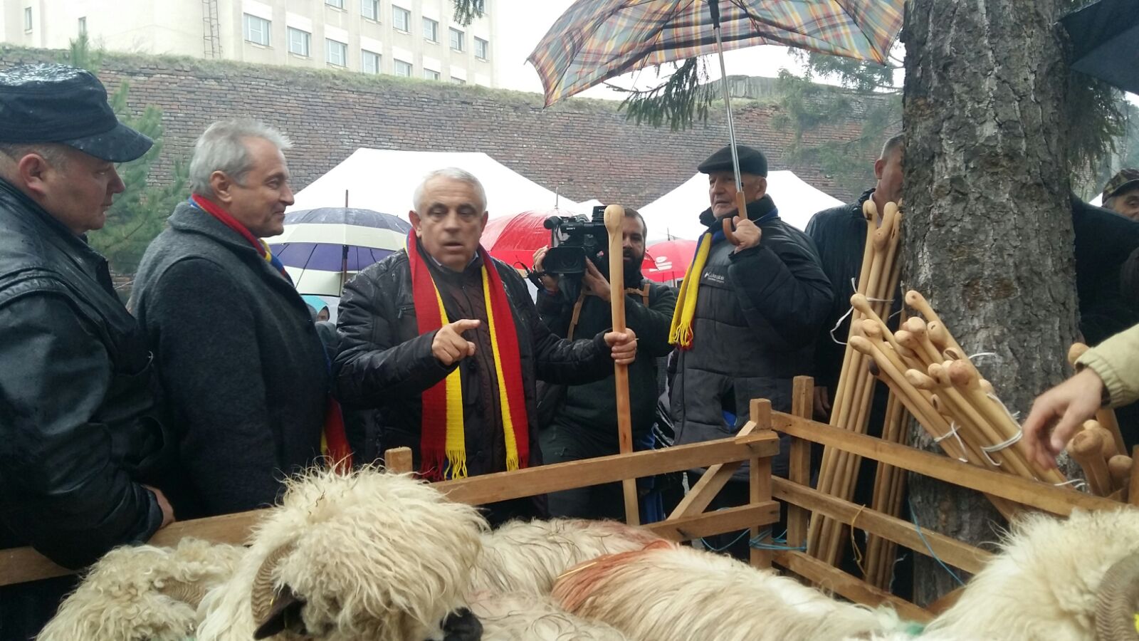 Daea: "Oaia, săraca, vine din vârful muntelui cu oamenii ăştia care pleacă şi uită de neveste, de copii"|VIDEO