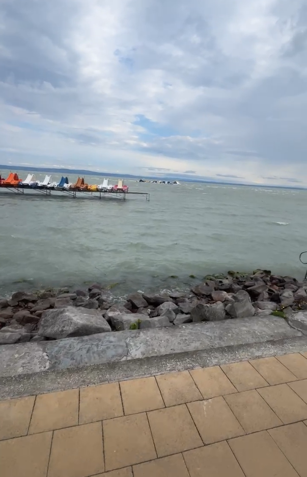 Rejtélyes tragédia: Holtan vetette a Balaton-partra a víz Csokit, a család szerint nem baleset történt – ezt közölte a rendőrség