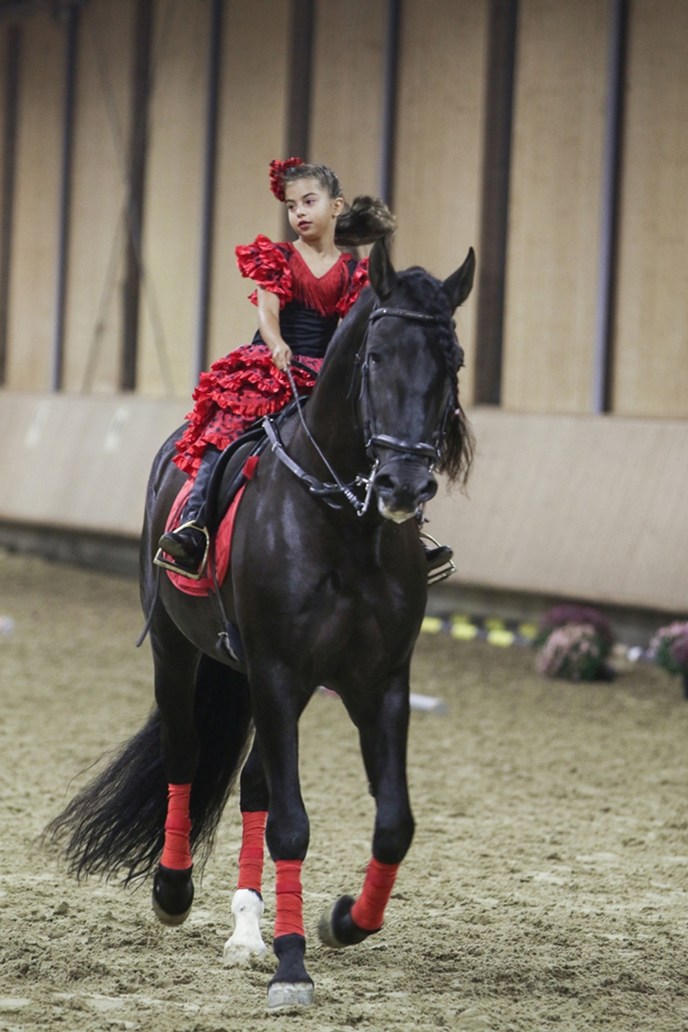 Salonul Calului și-a desemnat campionii la sărituri peste obstacole / GALERIE FOTO