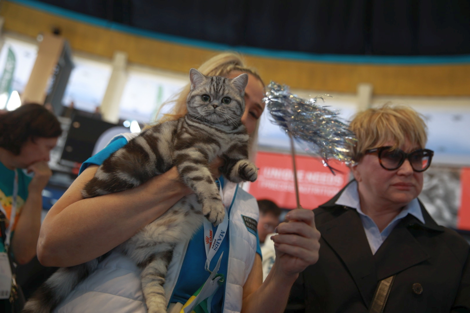 Libertatea a mers la Campionatul Mondial Felin. Bucureștiul, capitala mondială a pisicilor: peste 750 de feline din întreaga lume au strălucit la Romexpo