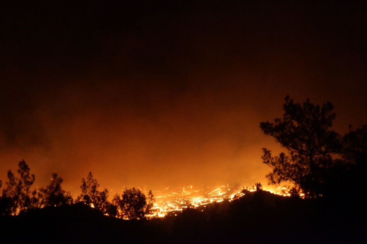 Grecia arde: incendii pe Rodos, Corfu, Evia, lângă Atena și în Peloponez. „A fost panică. Autoritățile au fost copleșite”