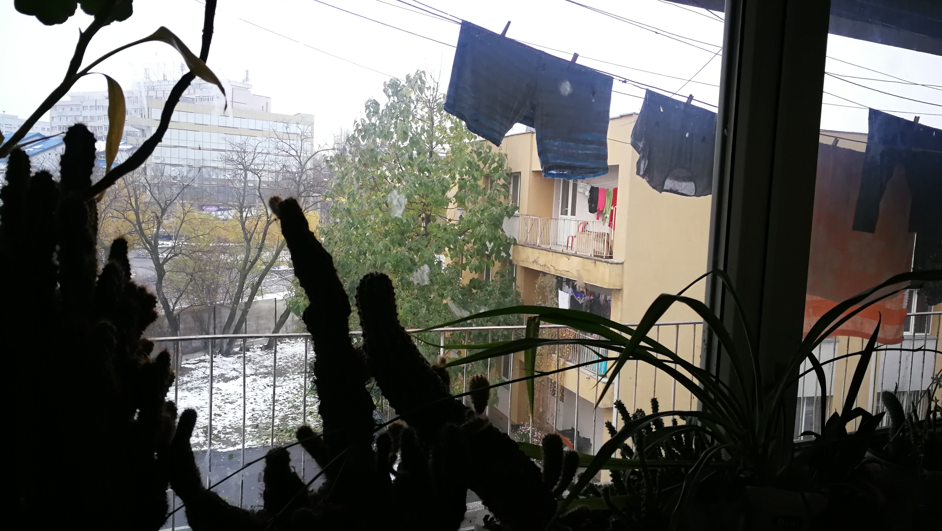 Social-democrație în sectorul 1: Primăria evacuează asistații pentru a face bazin olimpic la Colegiul Media. Răspunsul unui administrator din primărie: «Nu poți să prăjești pește, iar copiii ăia să învețe matematică!»