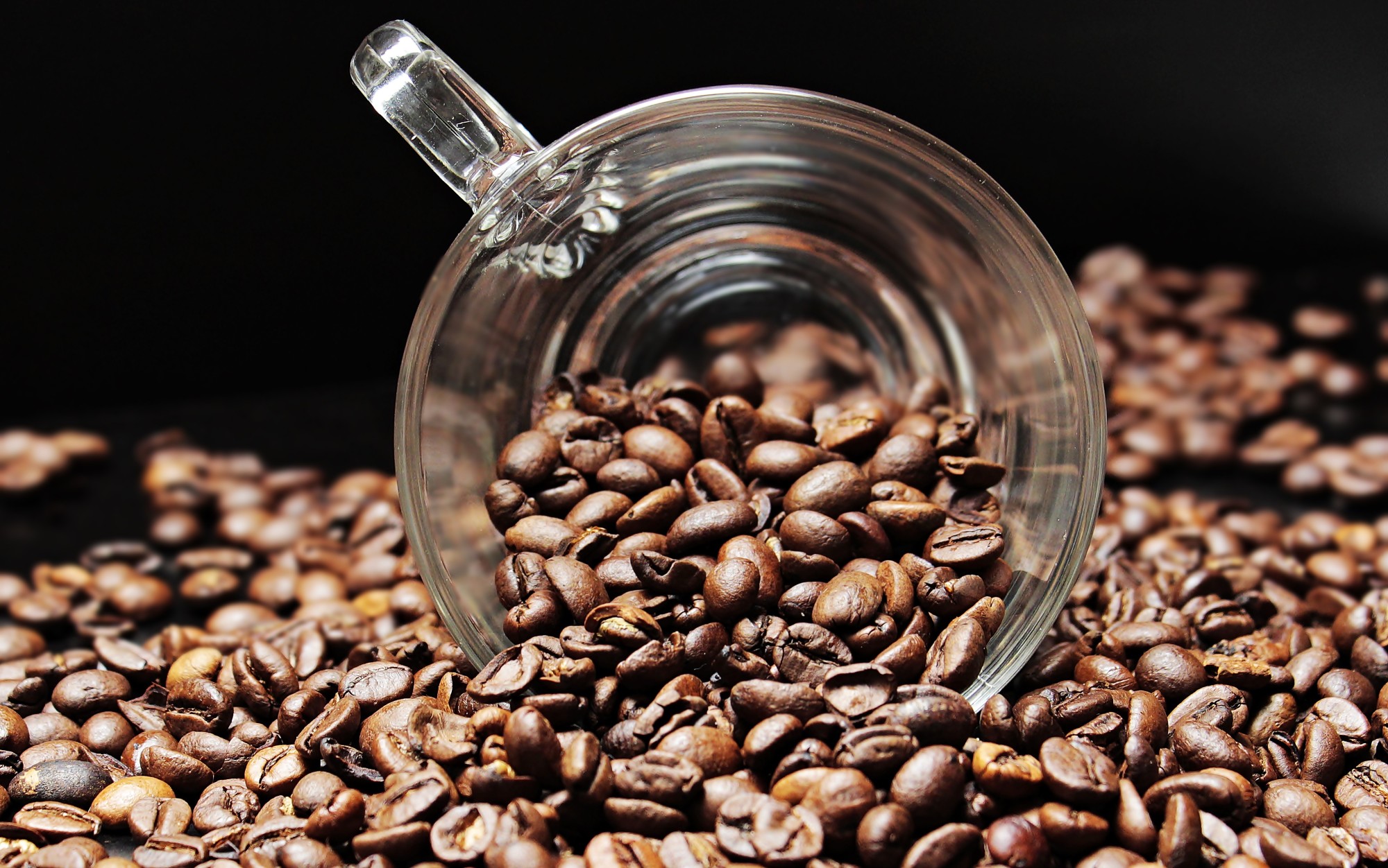 Kenyan Coffee export