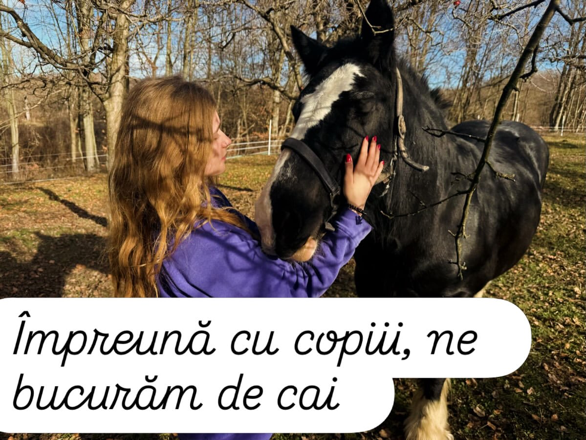 Imagini din gospodăria lui Dragoș Bucur și a Danei Nălbaru. De doi ani trăiesc la țară: „A fost cea mai bună decizie”