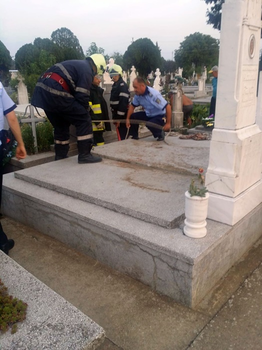 Un câine a fost îngropat de viu intenționat într-un cavou din cimitir. Explicația uluitoare a groparilor, care și-au recunoscut fapta