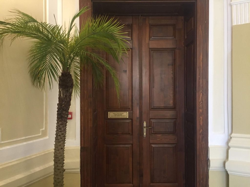 REPORTAJ/Palatul Apelor din Timișoara și-a recăpătat în sfârșit strălucirea de acum un secol, după lucrări care au durat 8 ani
