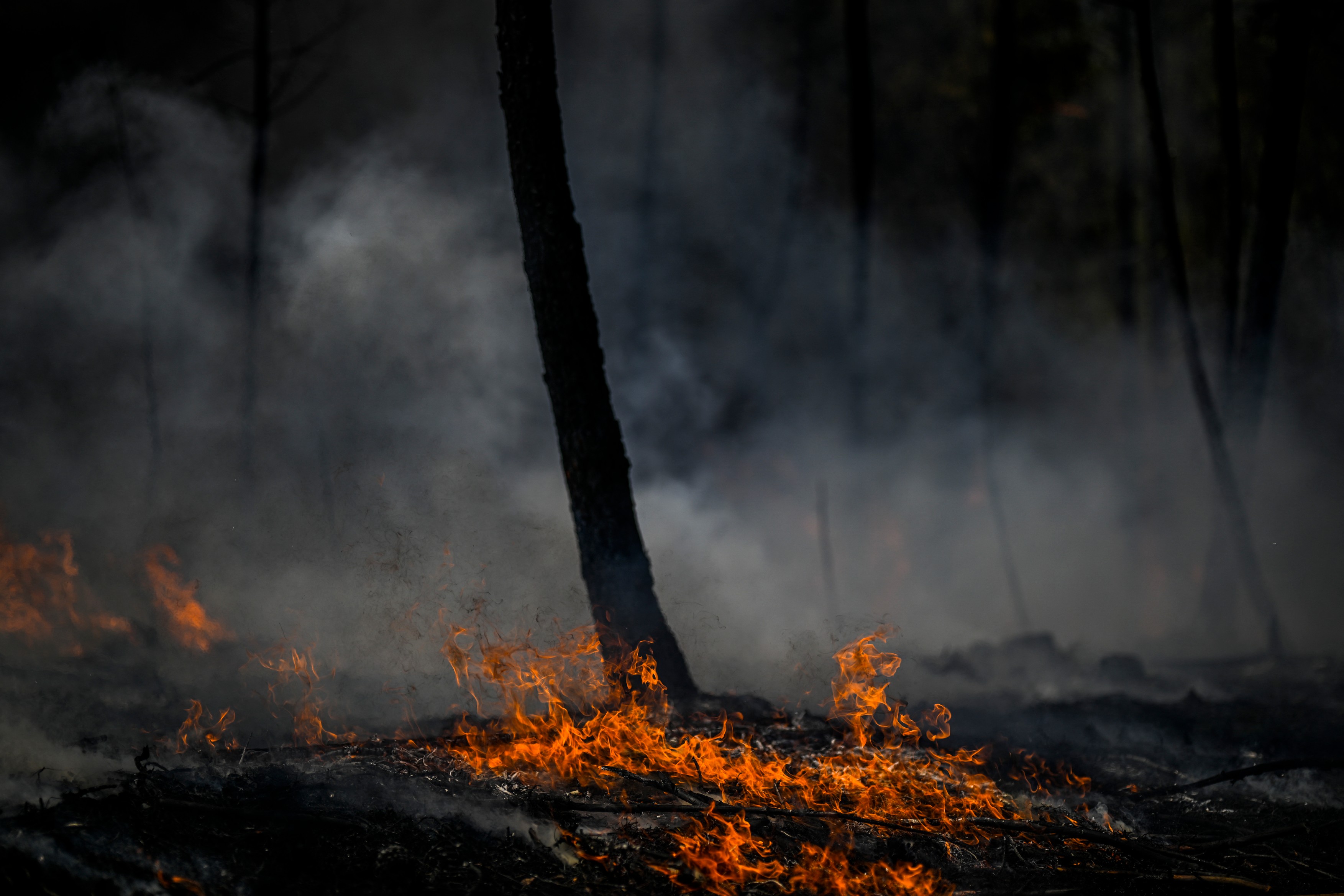 Incendii masive de vegetație în Portugalia, în mijlocul unui nou val de caniculă. Peste 1.400 de oameni au fost evacuați