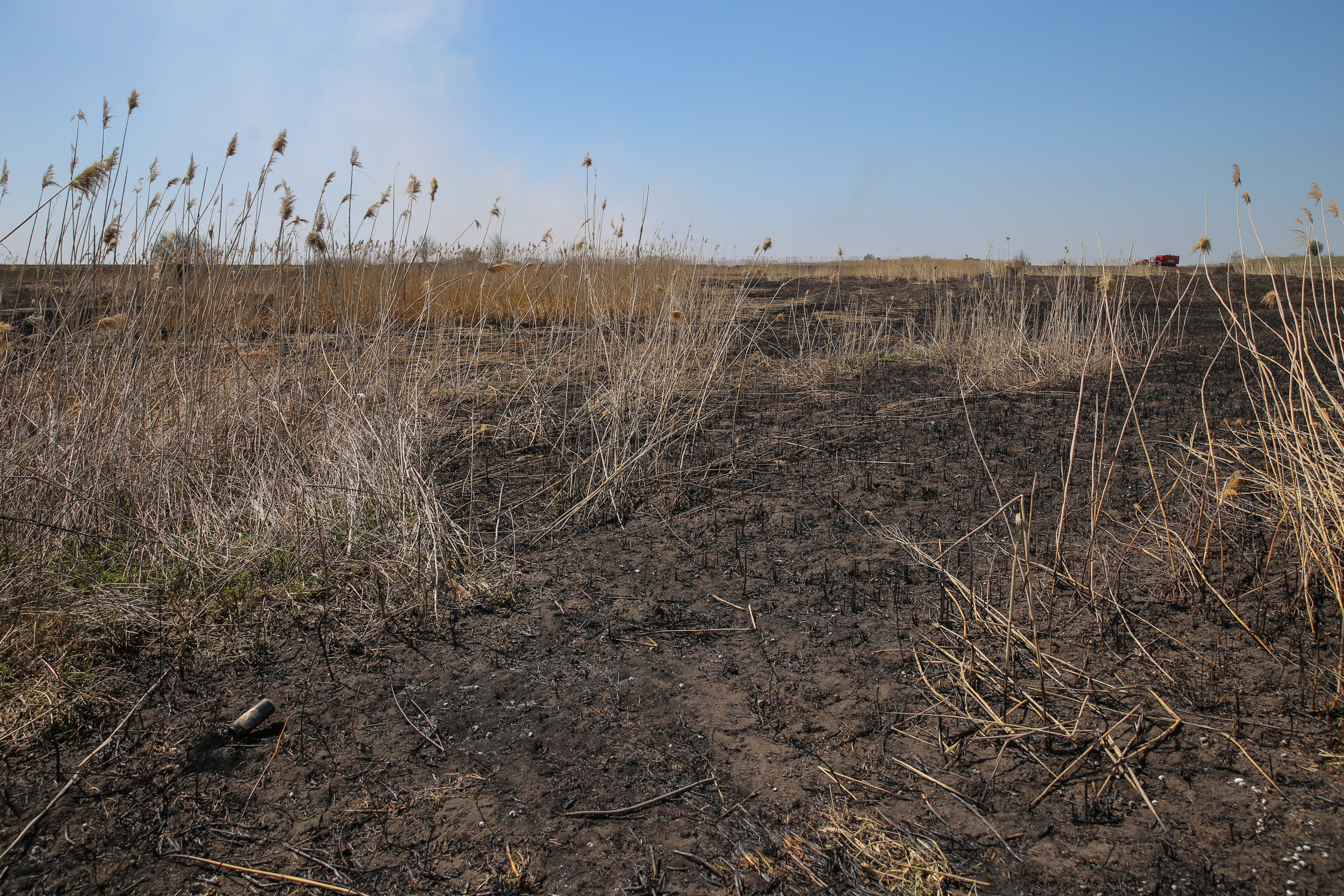 Incendiul care a poluat miercuri Bucureștiul. Cum a ajuns fosta fermă de porci din Periș, care a avut legături cu Liviu Dragnea, un dezastru ecologic