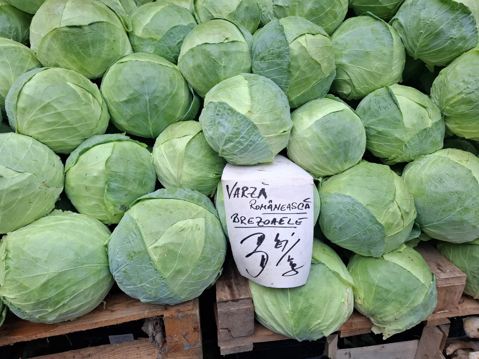 Cât costă să murezi varză albă de Buzău pentru sărmăluțe și friptură: prețurile din piețele din București