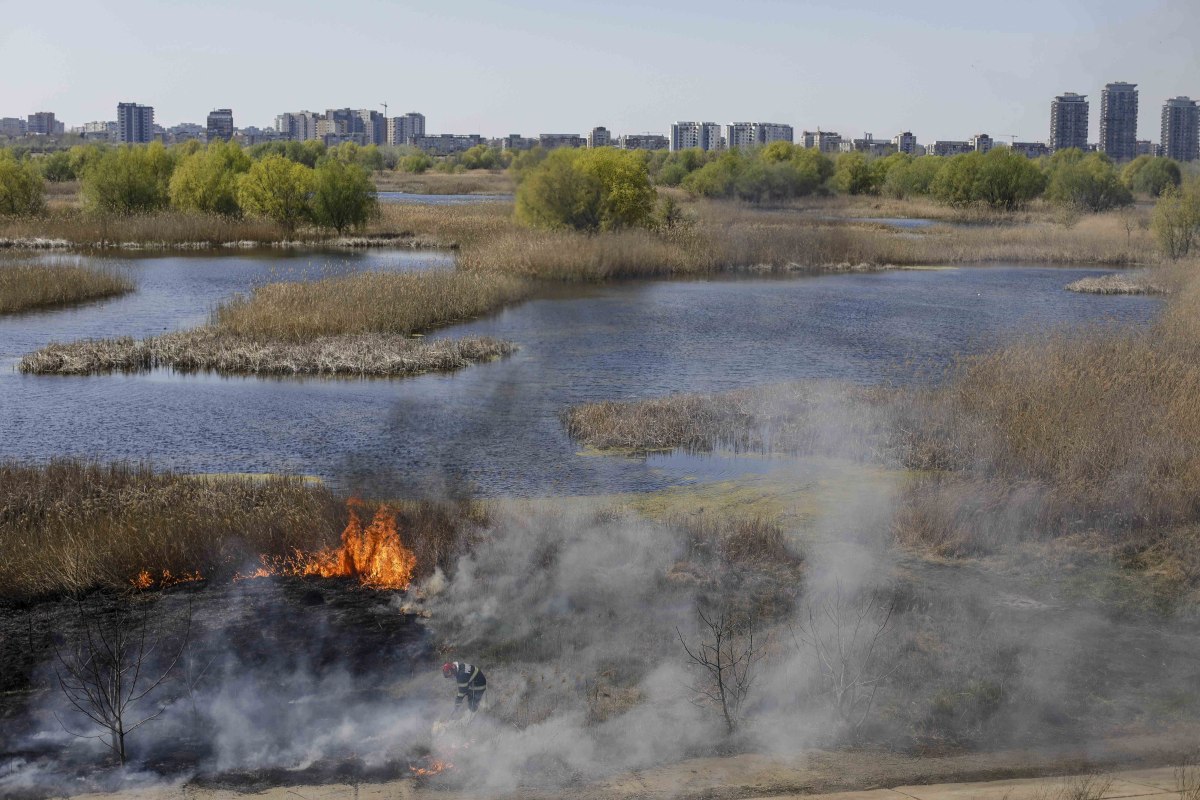 Incendiul din Delta Văcărești, stins după două ore. Ce suprafață a fost afectată