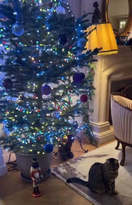 Imagini din casa lui Marius Manole împodobită de Crăciun. Ce vedete i-au trecut pragul de sărbători: „Mirosea a cozonac”