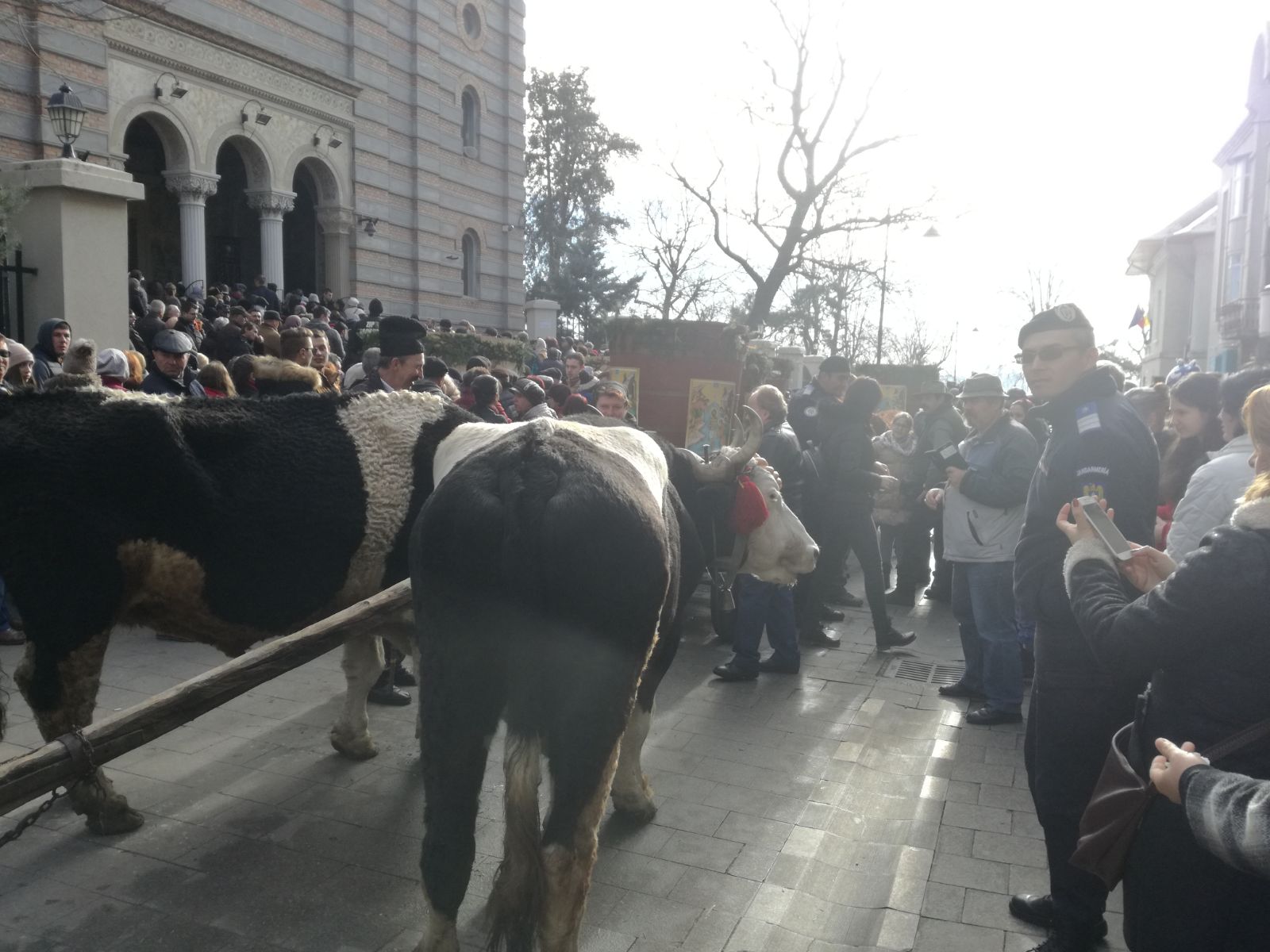 VIDEO: Peste 10.000 de oameni s-au călcat în picioare pentru agheasmă, la Constanța. În loc de gerul Bobotezei, o vreme de primăvară