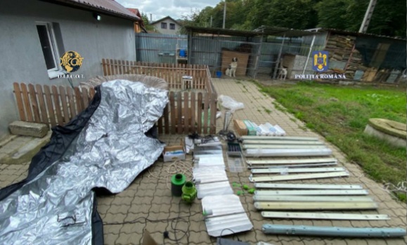 Percheziții în Mureș la traficanți de droguri, unde au fost găsite mai multe arme și sume mari de bani. 7 persoane, reținute